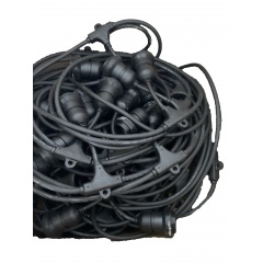 belt1_1979450189